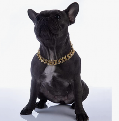 Gold Link Dog Collar For All Breeds Pack Of 10