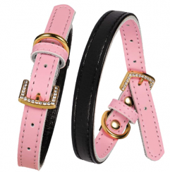 6 pcs Comfortable Padded Leather Pet Collars