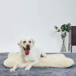 8 pcs Dog Bed Pet Cushion Crate Mat