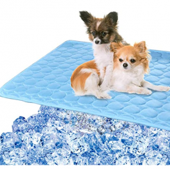 10 pcs Cooling Mat Pad for Dogs Cats