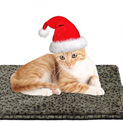 Sale 20 Packs Rectangular Self Warming Cat Bed