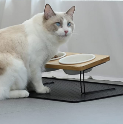 20 pcs Elevated Cat Ceramic Bowls 